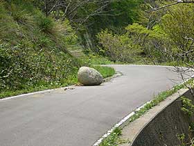 林道三尾御崎線、路面にこんな石が