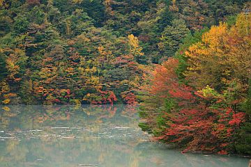 畑薙湖に映える紅葉