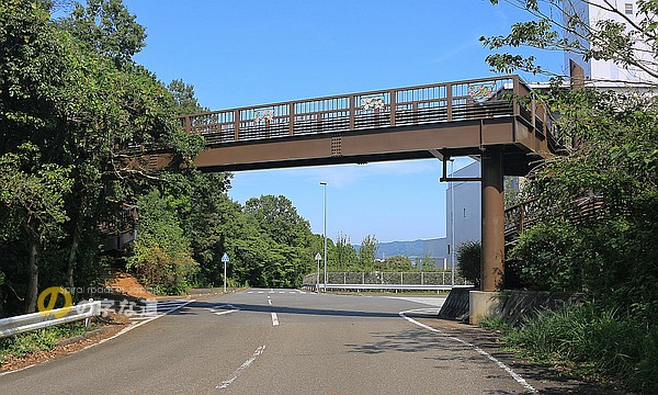 鹿ノ子歩道橋全景