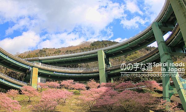 河津桜と七滝高架橋