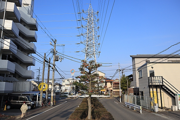 関西電力忠岡線32号鉄塔全景