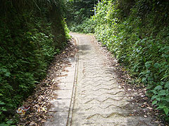 異人館と滝之神トンネル宮之浦方面出口地点をつなぐ道。なかなかの傾斜。